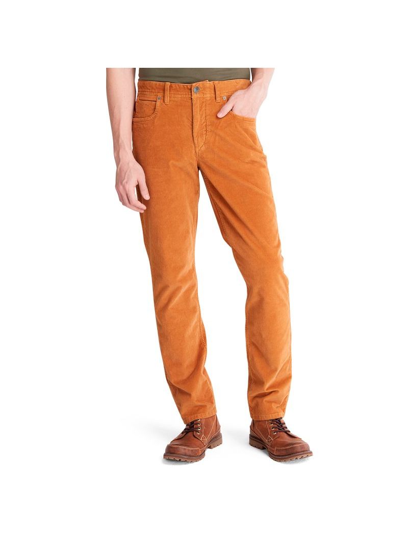 Timberland-Pantalon-Tfo-Squam-Lake-Straight-A2D6GP47-Hombre---Talla-30-32-1