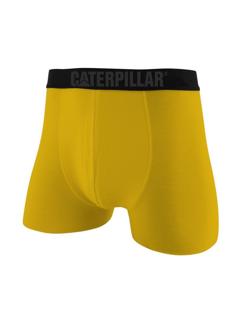 Cat-Boxer-Foundation-Boxer-Brief---L-1