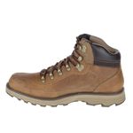 Cat-Highbury-Marron---7-US-2