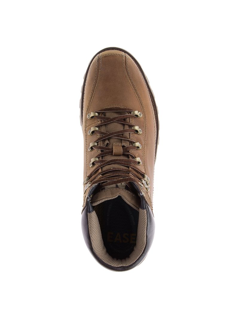 Cat-Highbury-Marron---7-US-3