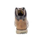 Cat-Highbury-Marron---7-US-5