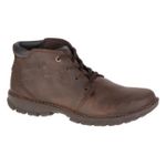 Cat-Transform-MenA-s-Brown---7us-1