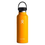 Hydro-Flask-18-Oz-Standard-Flex-Cap-Starfi-1
