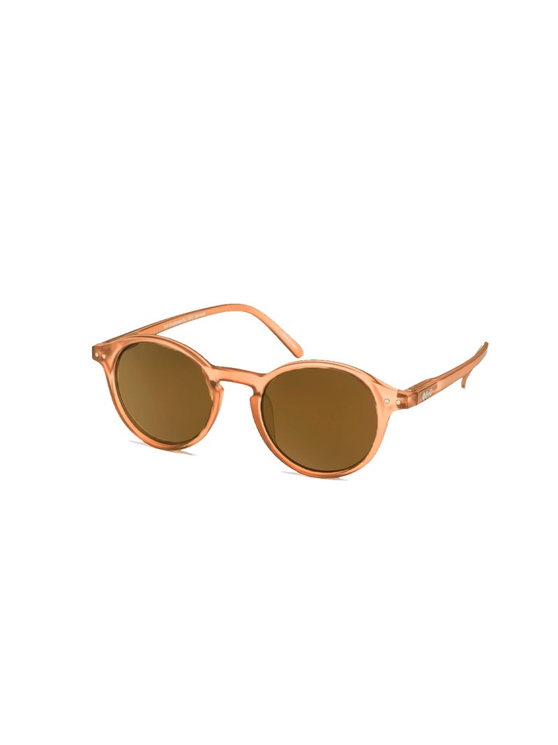 B-D-SUNGLASSES-BROWN-UNIC-UNIC-1
