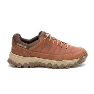 Champion Cat Hombre Threshold rebound low Marron